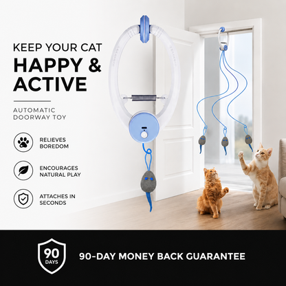 MeowMotion™ Cat Toy
