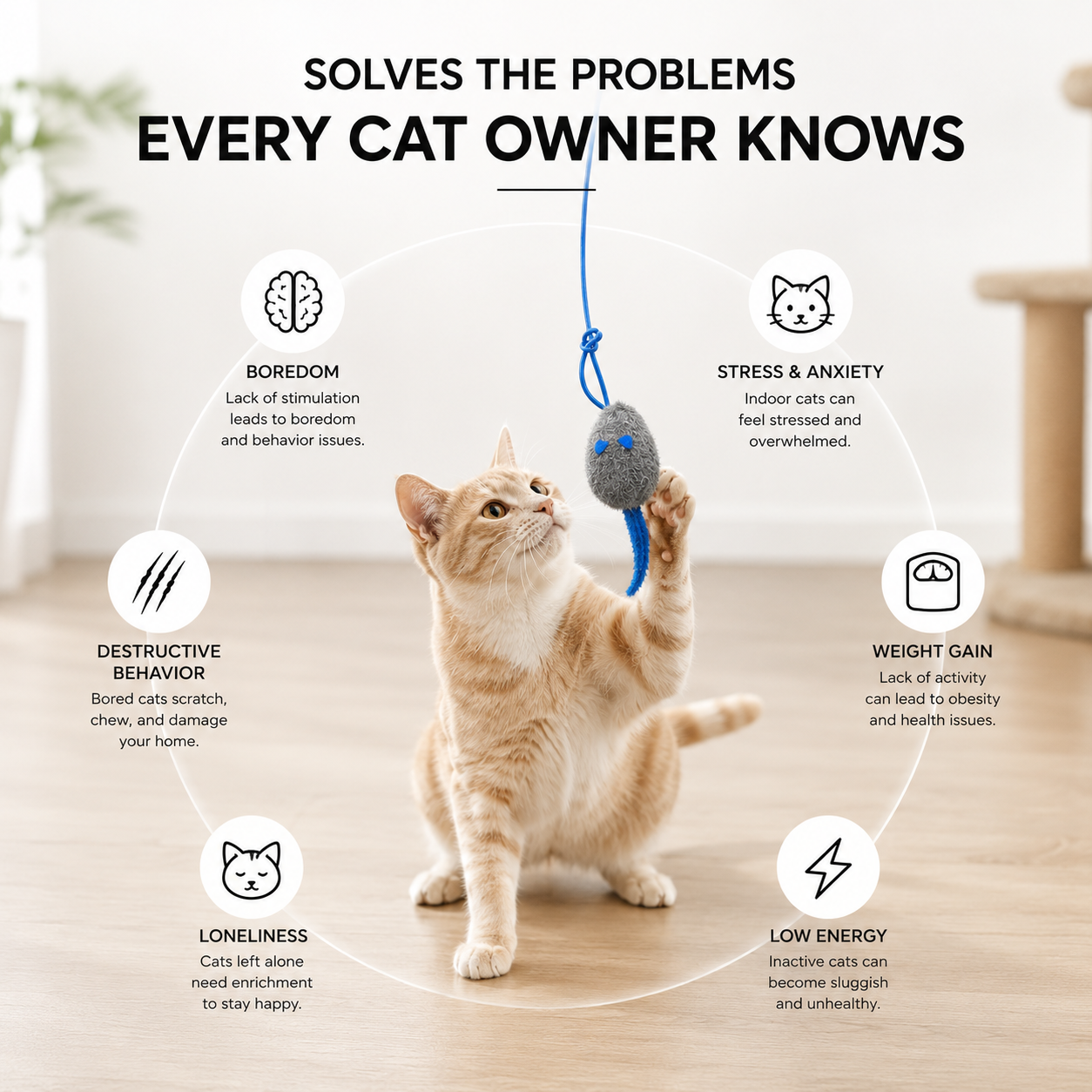 MeowMotion™ Cat Toy