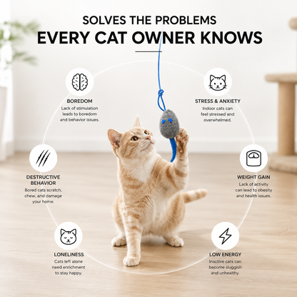 MeowMotion™ Cat Toy