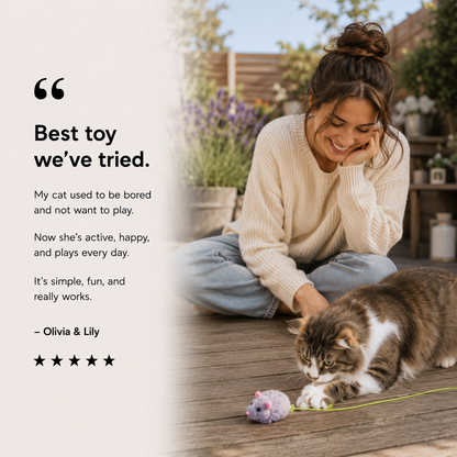 MeowMotion™ Cat Toy
