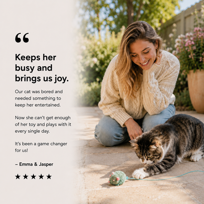 MeowMotion™ Cat Toy